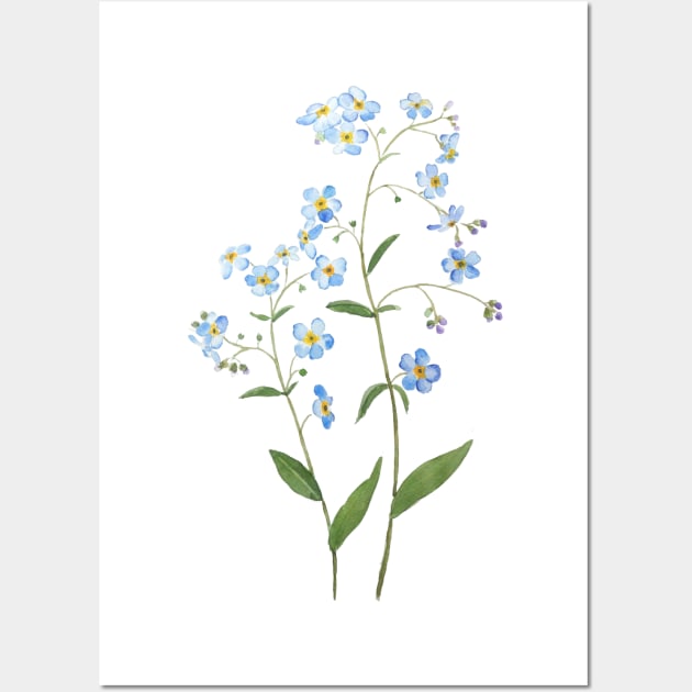 blue forget me not flowers 2021 watercolor Wall Art by colorandcolor